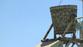 The Tipping Bucket  At Shipwreck Island Waterpark [upl. by Mallina440]