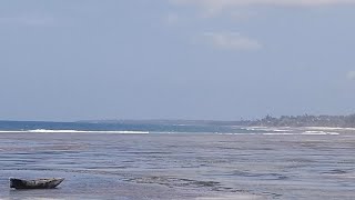 Msambweni Beach  Kenya South Coast [upl. by Aicilra]