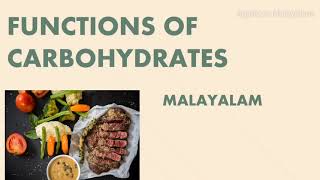 FUNCTIONS OF CARBOHYDRATES  MALAYALAM [upl. by Tildi]