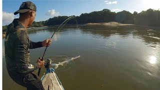 MONSTER LAU LAU PIRAIBA CATFISH FIRST EVER [upl. by Aineles635]