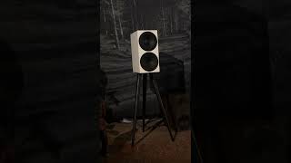 Buchardt Audio S400 MKII hifiaudio audio loudspeaker loudspeakers audiophile highendaudio [upl. by Zachariah11]