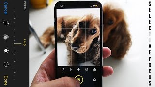 Get Portrait Mode iPhone XS Depth Control  Enhance Bokeh Effect Free on AppStore [upl. by Yrffoeg]