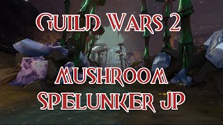 Master Mushroom Spelunker Jumping Puzzle  Guild Wars 2 Heart of Thorns [upl. by Spense]