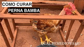 Como curar dor nas pernas perna bamba da galinha [upl. by Ynatterb]