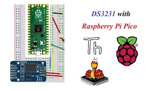 Raspberry Pi Pico interface with DS3231 RTC Thonny Python Tamil shorts RaspberryPiPico DS3231RTC [upl. by Aij]