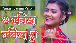 ও কলিজা কলিজা রে । O Kolija Kolija Re । Larjina Parbin । Miraj Khan । Bangla Tiktok Viral Song 2023 [upl. by Ijnek]