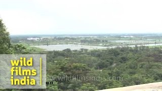 Shanti Stupa at Dhauli Giri Bhubaneswar [upl. by Garate]