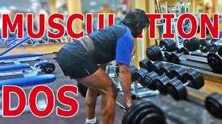 Exercices de musculation du dos en salle 003 [upl. by Repohtsirhc647]