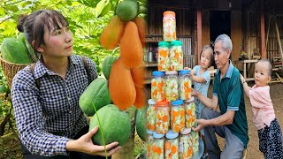 Harvesting papaya  Making Delicious Papaya dishes with Grandfather to sell  Growing  Farm Life [upl. by Sllew887]