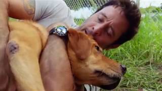 Hawaii Five0  Season 1 Trailer 4K Reupload [upl. by Zullo551]