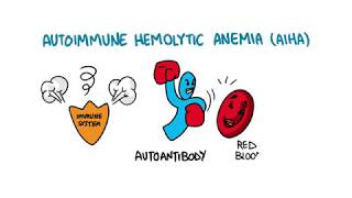 Autoimmune Hemolytic Anemia [upl. by Roseanna]