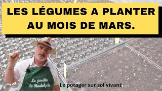 Le potager au mois de mars au nord de la France [upl. by Llyrat566]