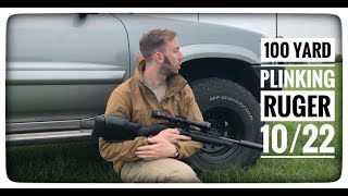 100 Yard Plinking  Ruger 1022 [upl. by Hauck]