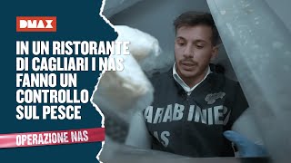 In un ristorante di Cagliari i NAS fanno un controllo sul pesce  Operazione NAS [upl. by Akemyt]