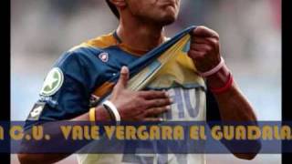 MOLOTOV  Vale Vergara PUMAS [upl. by Rotsen]