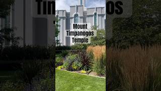 Mount Timpanogos LDSTemple on a sunny summer afternoon churchofjesuschristoflatterdaysaints [upl. by Ahtelrac]