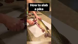 How to fillet a NORTHERN PIKE Part 1 of 3 fish fishing [upl. by Adnwahsat]