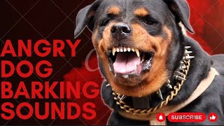 Epic Dog Barking Compilation See How Your Dogs REACTS and Cant Resist [upl. by Ydnirb641]