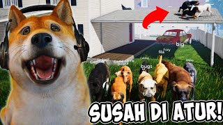 OBIT PUNYA PASUKAN ANJING  Streamer Life Simulator 10 [upl. by Simah]