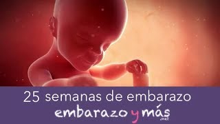 25 semanas de embarazo  Sexto mes  EMBARAZOYMAS [upl. by Nivat]