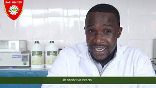 NATURAL ORGANIC INSECTICIDES MADE WITH PYRETHRUM [upl. by Barnaby]