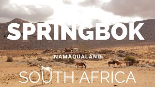 Springbok Namaqualand Northern Cape South Africa [upl. by Belva]