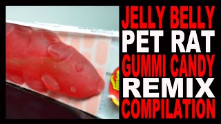 Jelly Belly Pet Rat Gummi Candy  Remix Compilation [upl. by Atinaej]