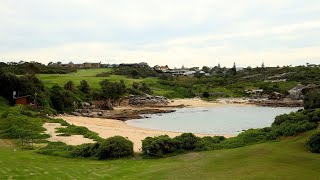 Fatal shark attack at popular Sydney beach [upl. by Pomona]