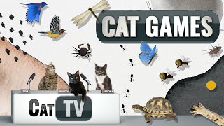 Cat Games  Ultimate Cat TV Compilation Vol 12  1 HOUR 🐱📺🎈🦜🐜🐭🧵🐝🐞🦋🦎 [upl. by Kopaz]