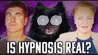 Hypnosis exposedThe truth about Hypnodog [upl. by Llenrod]