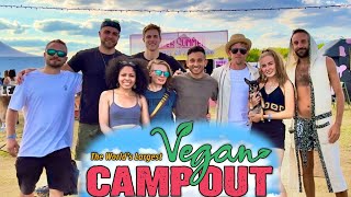 Norwegians at VEGAN CAMPOUT 2024  Unity Diner London [upl. by Aikemaj]