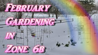 February Gardening in Zone 6b Its COLD Seed Starting amp Lettuce Peppers Herbs Blueberries [upl. by Tuchman]