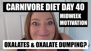 Why are oxalates bad What is oxalate dumping Carnivore Diet Day 40 [upl. by Arber]