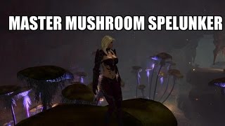 Guild Wars 2 Master Mushroom Spelunker Rata Novus Jumping Puzzle [upl. by Amarillas]