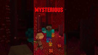 The Most Mysterious Biome In Minecraft   minecraftshorts minecrafttheory minecraftmysteries [upl. by Allmon586]