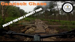 Cannock Chase  Follow the dog amp Monkey trail  2021 Turbo Levo [upl. by Naldo]