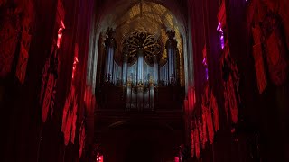 Cathédrale Sainte Croix dOrléans [upl. by Enehpets]