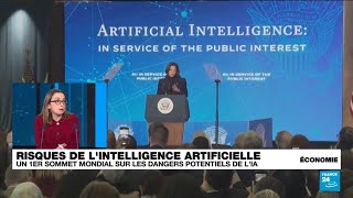 Intelligence artificielle  Une première déclaration mondiale sur les risques de lIA • FRANCE 24 [upl. by Etnecniv]