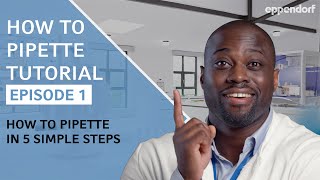 How to Pipette in 5 Simple Steps  Pipetting Tutorials  Ep 1 Micropipettes [upl. by Enelym62]