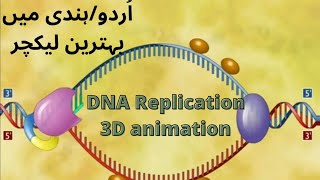 DNA Replication3D animation [upl. by Annoif991]