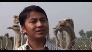 नारायण श्रेष्ठ Aastrich palak Rupandehi C P Sharma Narayan shresth BBC sajha sawal [upl. by Olegnad533]