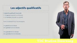 4 Adjectifs qualificatifs [upl. by Neeruam944]