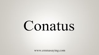 How To Say Conatus [upl. by Lellih]