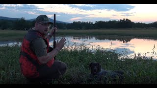 Sudecka Ostoja 342020 Polowanie na kaczki Duck hunting in Poland [upl. by Dag973]