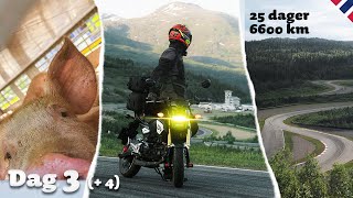 VARME TRØBBEL og GRISER  Trondheim til ACR  Honda Grom  Norway Roadtrip  Dag 3 4 [upl. by Aelrac]