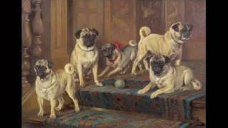 historical changes in pugs over time [upl. by Sherill]