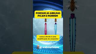 PORQUE AS ABELHAS PICAM E MORREM [upl. by O'Toole859]