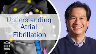 Atrial Fibrillation Risk Factors Symptoms and Treatment  Mass General Brigham [upl. by Osrock693]