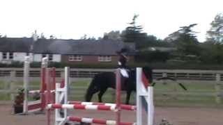 Mary Marsh Equestrian  show jumping [upl. by Ehsom]