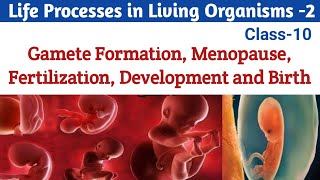 🔴Life Processes  2  Gamete Formation  Menopause  Fertilization  Development Birth  Class 10 [upl. by Anillek]